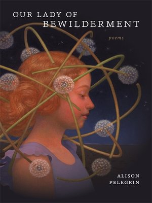 Our Lady of Bewilderment - ebook